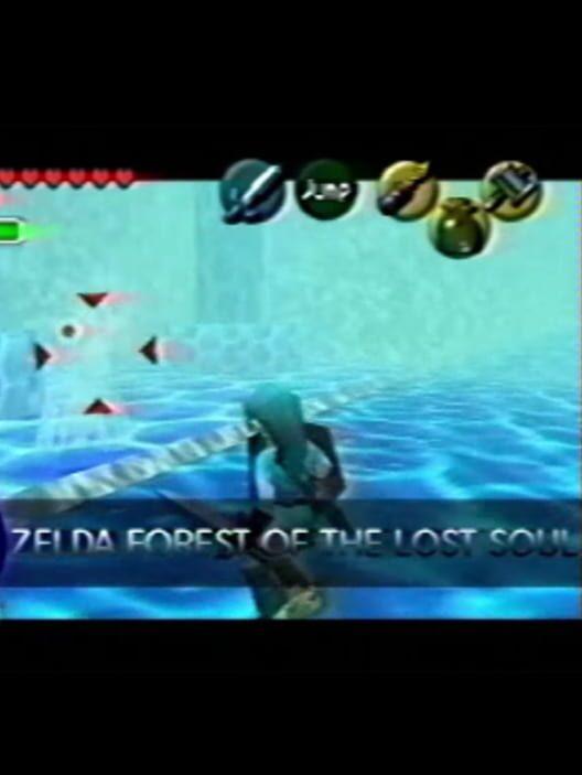 Zelda: Forest of the Lost Soul