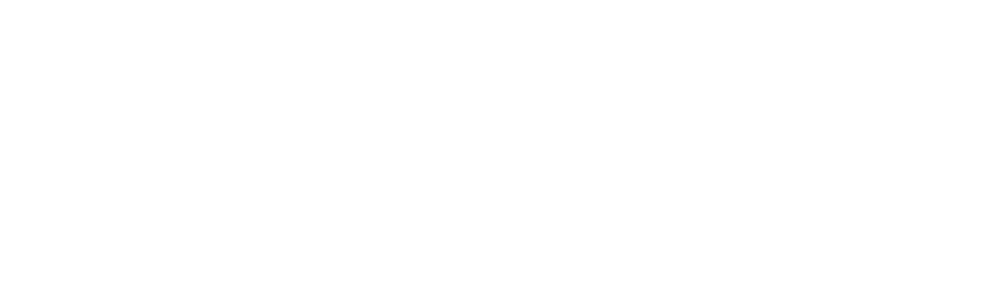 IRON NEST
